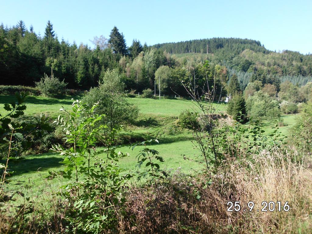 Pension Sonnenschein Schmallenberg Bagian luar foto
