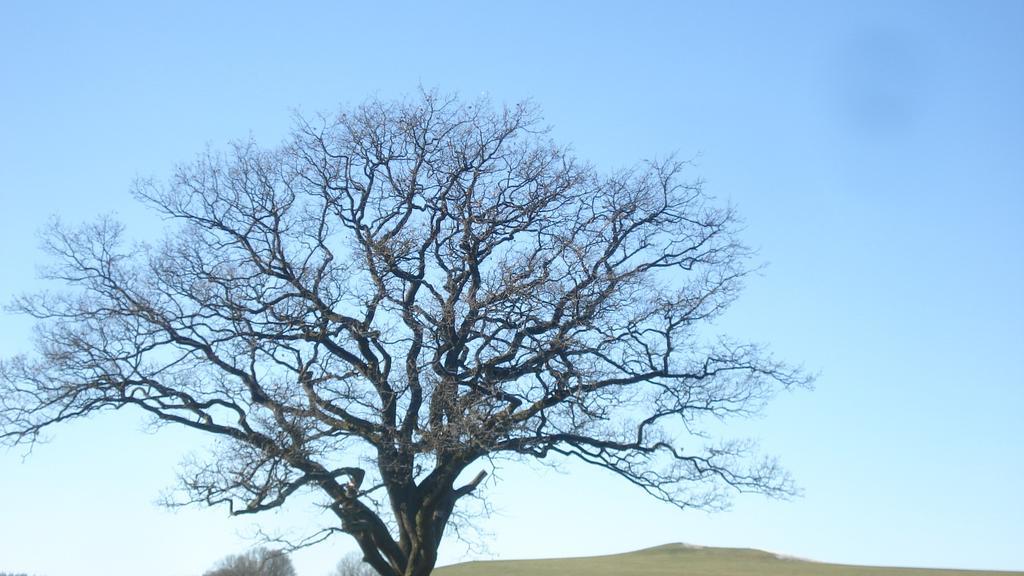 Pension Sonnenschein Schmallenberg Bagian luar foto